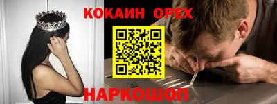крисы Кунгур
