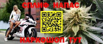 спайс Кулебаки