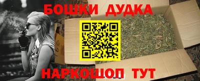крисы Кунгур